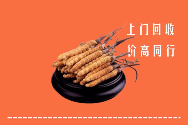 高价求购：武鸣区回收散虫草