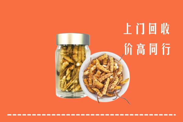 武鸣区回收冬虫夏草